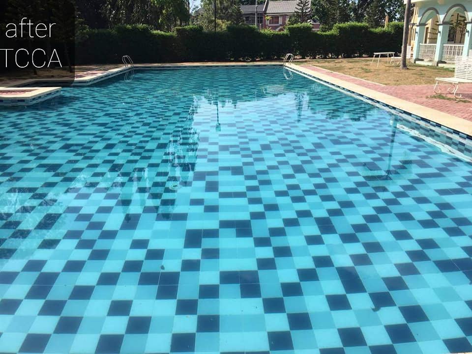 Swimming Pool The following two photos were taken just 4 days apart. The plan of the owner was to just drain the water and replace. We advised them to conserve the…